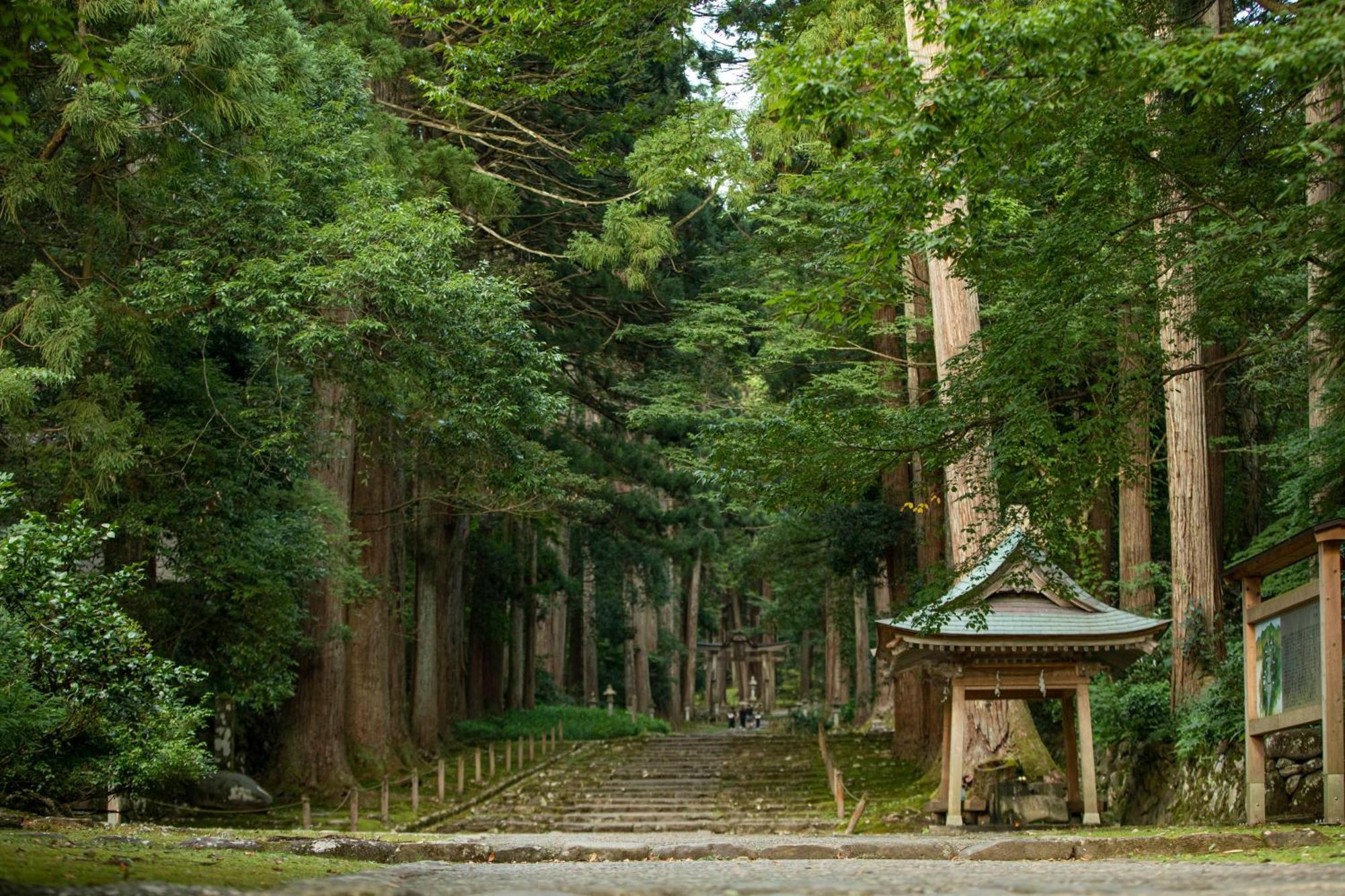 Katsuyama New Hotel Eksteriør bilde